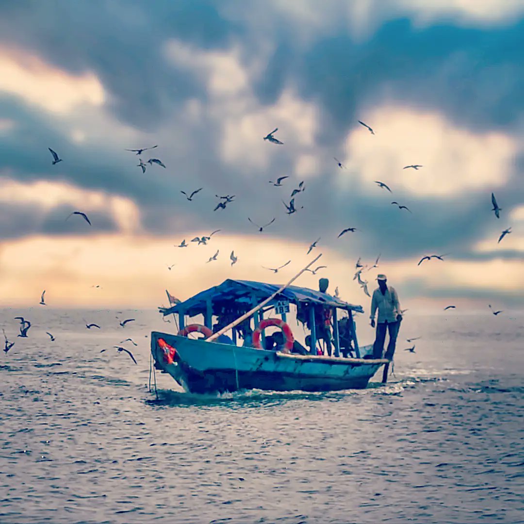 desi_boulevards's tweet photo. Anchoring myself with a day on the boat.

https://t.co/X4RusTgrJj
https://t.co/L2f2jpfgpm 

#photography #photographer #travel #odishaphotographers #odisha #indianphotography #odishatourism #boat #birds #lake #island 
@odisha_tourism https://t.co/aOirzNyfsY