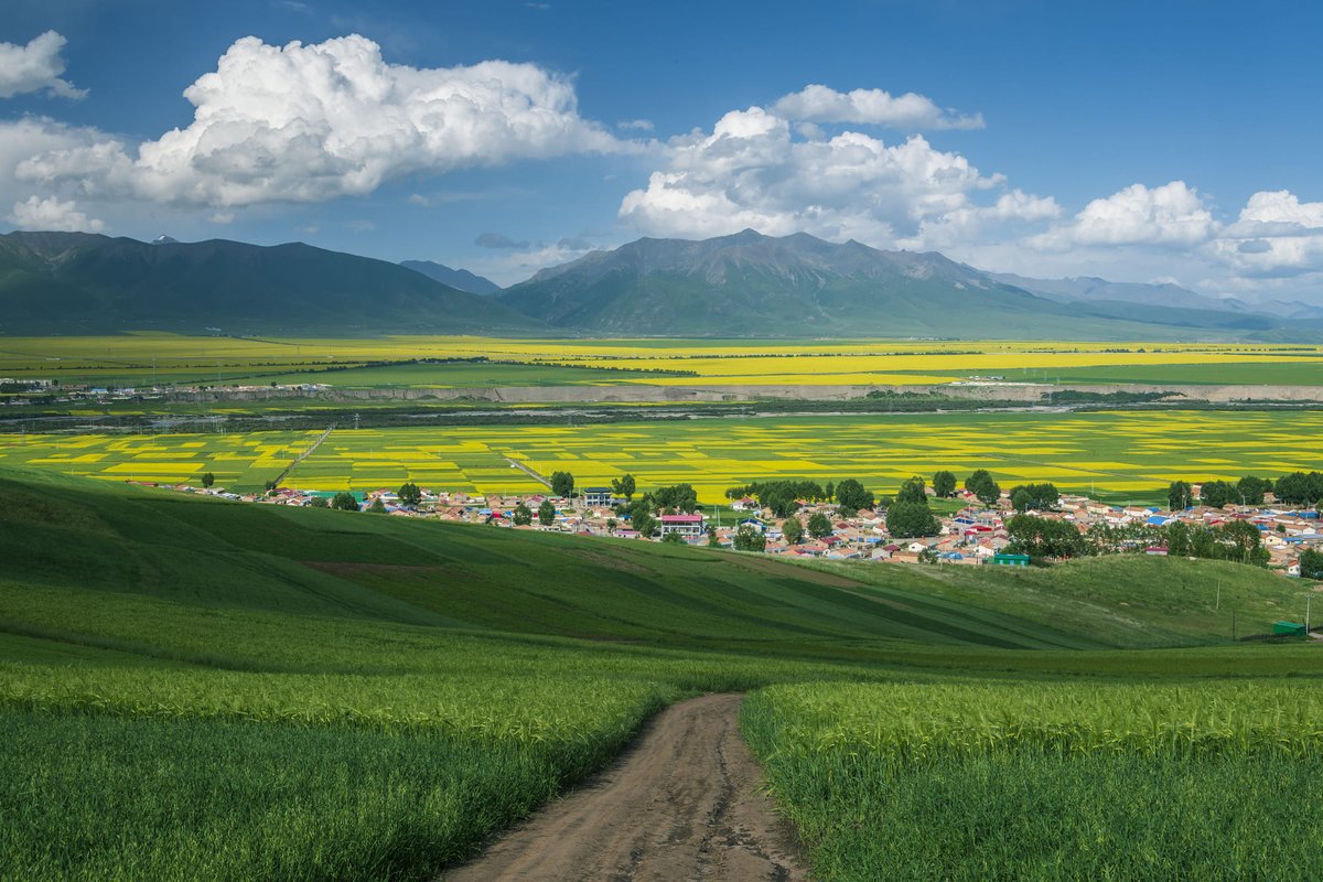 手戈 找靑狼 (@kiratokiokakeru) | Twitter