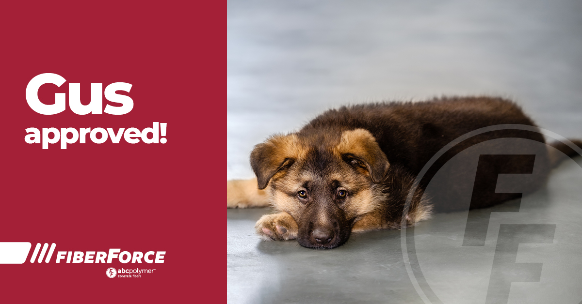 abcFiberForce's tweet photo. FF350 is Gus approved. What can FiberForce fibers do for your next project?
#fiberreinforcement #FiberForce #FRC https://t.co/cI0YwLwfNC