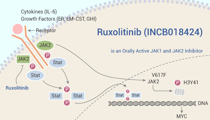 MedChemExpress's tweet image. #Ruxolitinib (#INCB18424) is a selective #JAK1 and #JAK2 #inhibitor and has 130-fold selectivity for JAK1/2 over JAK3. Ruxolitinib induces #autophagy and kills tumor cells through toxic #mitophagy. #drugdiscovery. bit.ly/2Zg5pvF
