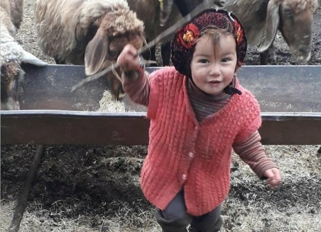 Yayın yasağı getireceğinize YASA getirin hergün başka bir kadının çocuğun katlini istismarını duymak istemiyoruz #mügeanlı