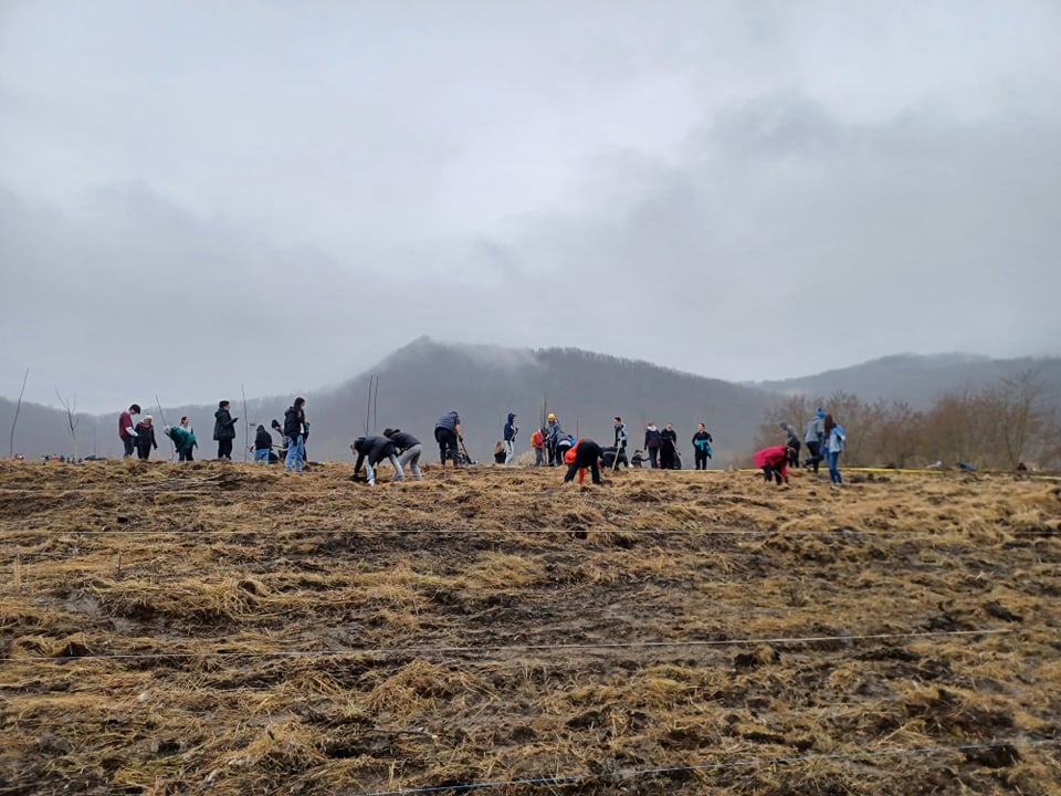 Transylvania College tweet media