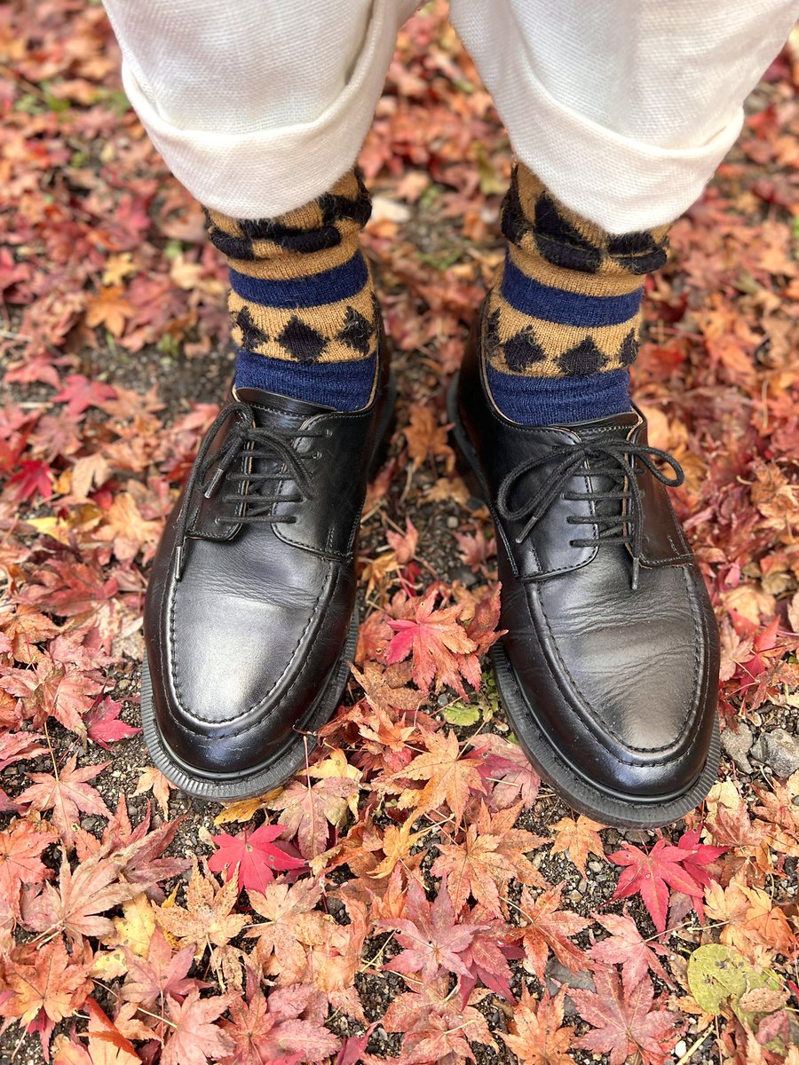 Schuhputzer621's tweet photo. shoes:solovair 
socs:marcomonde 

#solovair #marcomonde https://t.co/xobsRGzks5