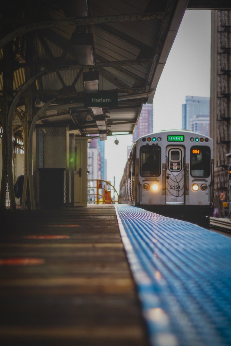 #cta #trains #streetphotography #urbanphotography #Chicago #SonyAlpha #PhotographyNFT 

©Ace_Shots Photography
