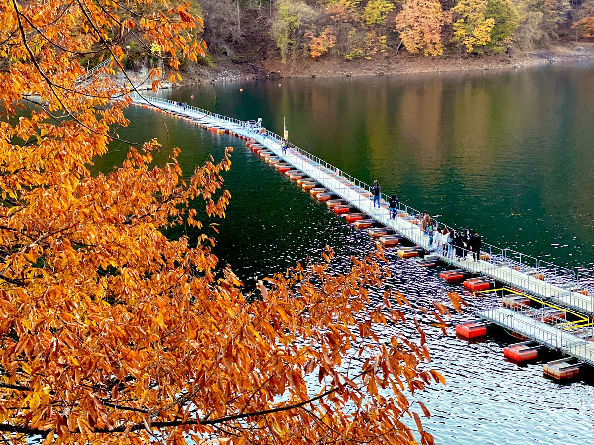 rkszk_1789's tweet photo. 奥多摩に紅葉🍁を見に行ってきました✨
まだ緑も多かったけど、リフレッシュ出来て満足☺️
#奥多摩 #奥多摩周遊道路 #奥多摩湖 #紅葉 https://t.co/Qy9txrw5Cb