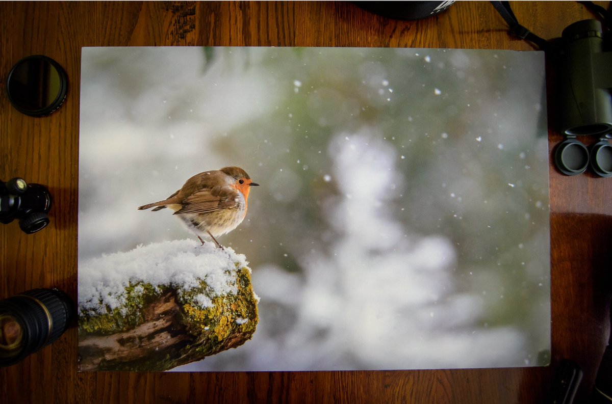 📯📯📯 ¡SORTEO! 📯📯📯

Para celebrar el estreno de mi web xabigazteaphoto.com sorteo una de las fotos disponibles.

En papel satinado + cartón pluma, 30x40cm, envío a península inc. 

Para participar:
- Sígueme 
- Dale RT
- 🤞

Hasta el 29 de noviembre a las 23:59. ¡Suerte!