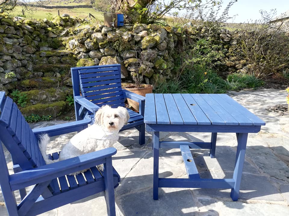 WeAcceptPets's tweet image. Perfect for a romantic getaway or family break is the holiday cottages at Woodend. These well-equipped homes are off the beaten track with wonderful views of Scafell.
weacceptpets.co.uk/Cumbria/1587
#Ulpha #BroughtonInFurness #Cumbria #SelfCatering #Romantic #Families #PetsFriendly