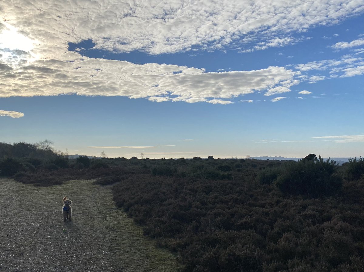 DarrenM2269's tweet photo. Down to Ringwood this morning for a meeting. Stopped on the way with my business partner for our team meeting!   #newforest #lovewhereyoulive #Sidwalks https://t.co/3vC0wPCeTM