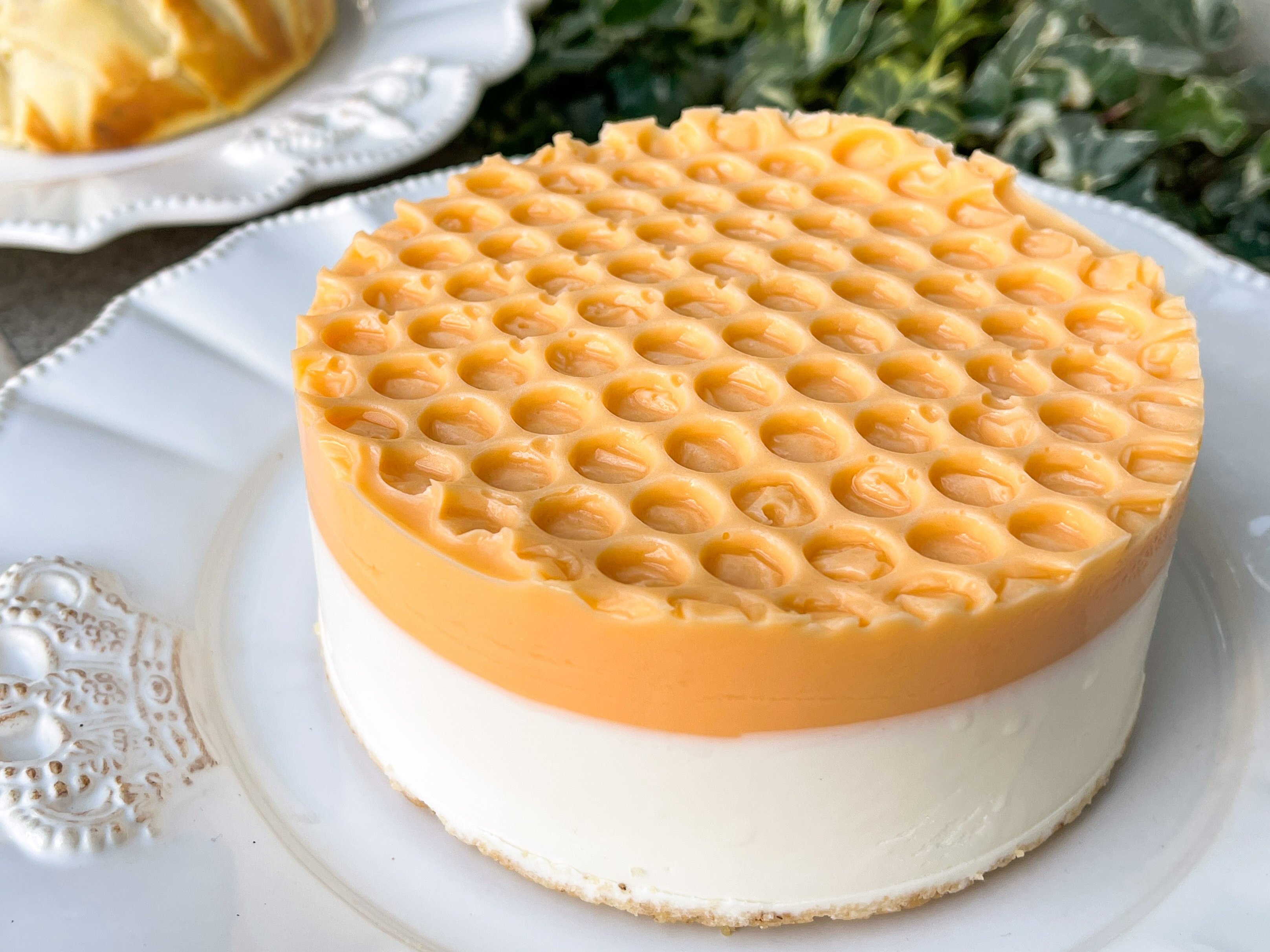 唯一無二の絶品グルメ むにぐるめ Princess Cheese Factory 渋谷駅直結 蜂の巣型の 蜂蜜レアチーズケーキ をテイクアウトできるお店 酸味のあるオレンジ味 ハチミツ味のチーズケーキを2層構造にした新感覚ケーキ 付属のハチミツをたっぷりかけ