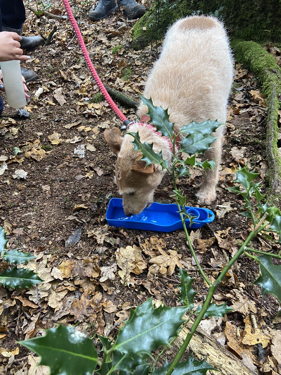 Sutton Coldfield Fire Station tweet media