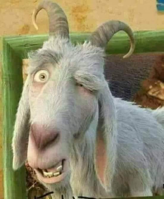 بابر اقبال گوندل tweet media