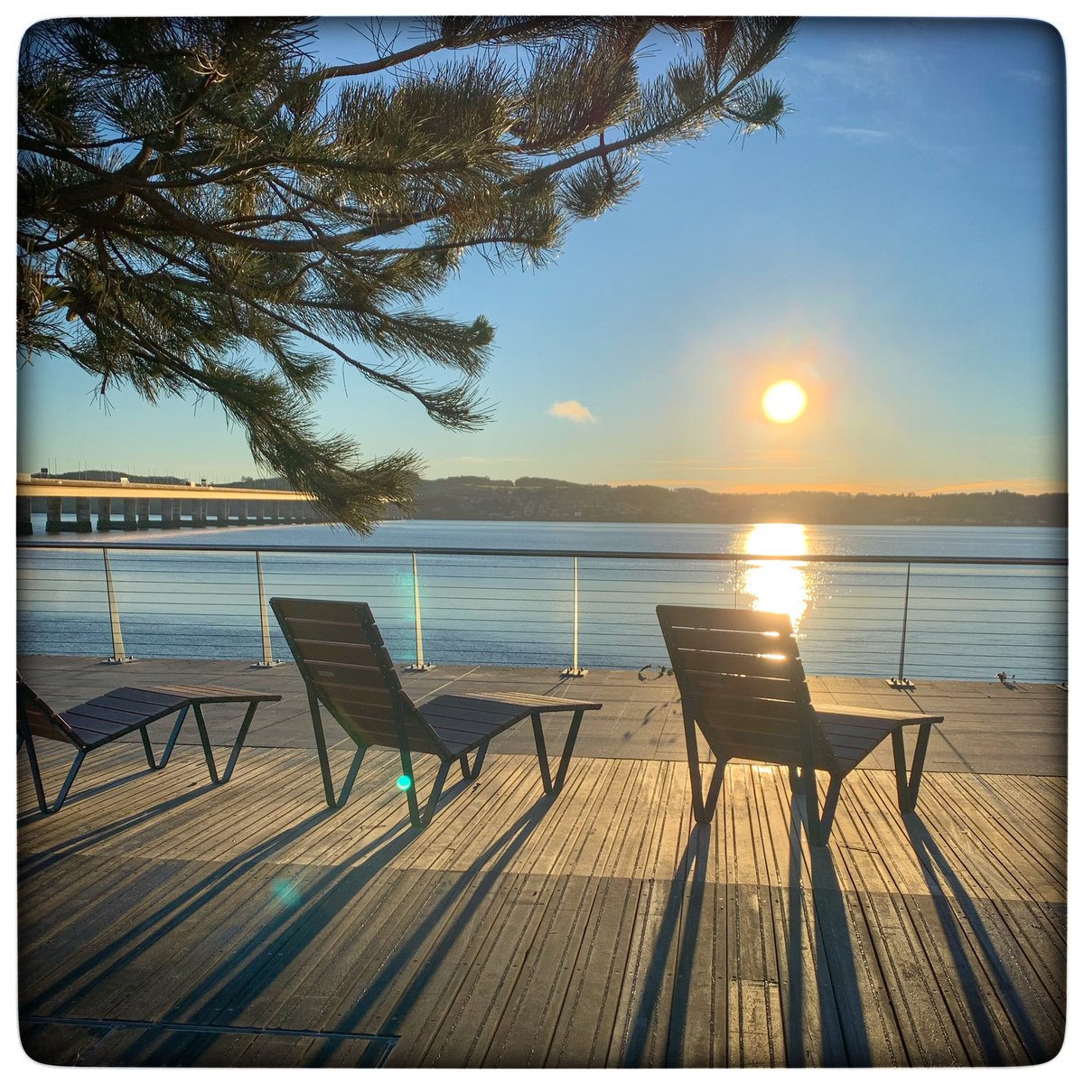 🌿 WhimSicAL LusH 🌿 tweet media