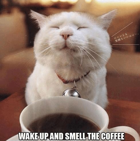 solutionworx's tweet photo. To the saying 'wake up and smell the roses,' we appreciate the thought, but we prefer coffee. https://t.co/VRiGFjmv2f