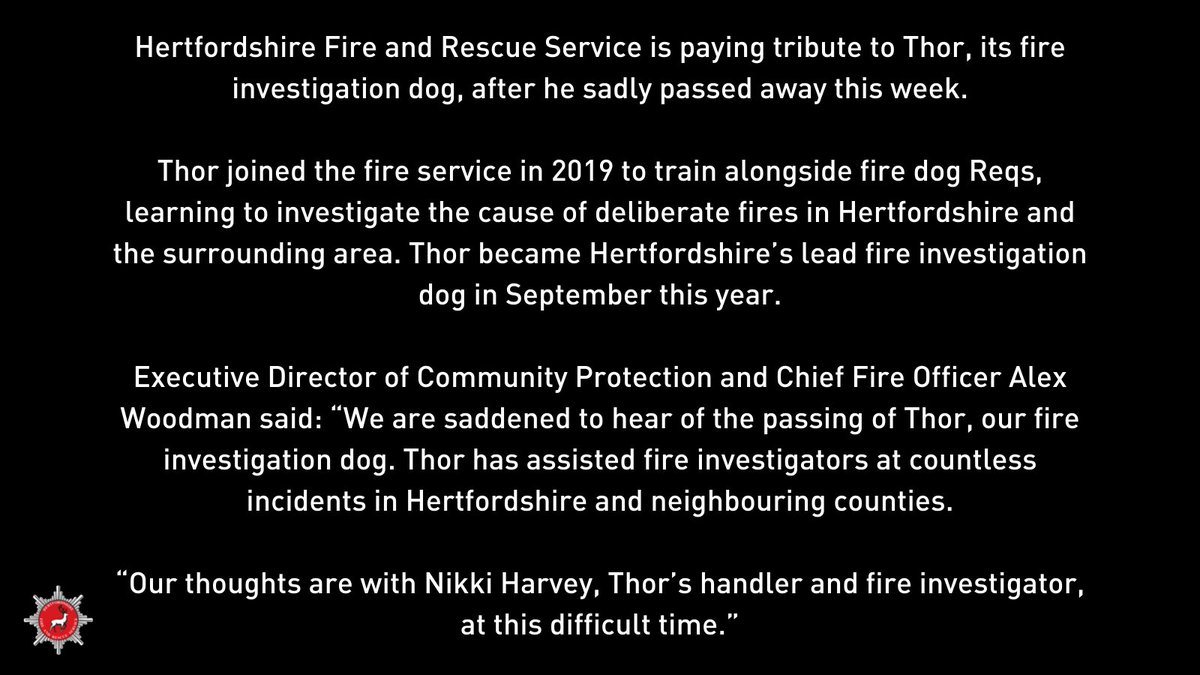 We are paying tribute to Thor, our fire investigation dog, who has sadly passed away.

Thor joined the service in 2019 to train alongside fire dog Reqs, learning to investigate the cause of deliberate fires in Hertfordshire and the surrounding area.