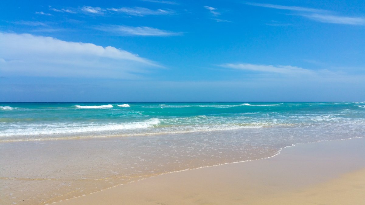 QLSPORT_'s tweet photo. ¿Tiempo invernal? Mantén tu mente con un objetivo motivador. Playa, mar, sol... ¡¡y deporte!! Nuestros torneos aúnan todo eso y te esperamos en Cartagena, Gandía, Tortosa y la Costa del Sol. A partir de Semana Santa. Reserva tu plaza ya en https://t.co/NRHLy18XFq #QLSport https://t.co/ozkvZlvwhh