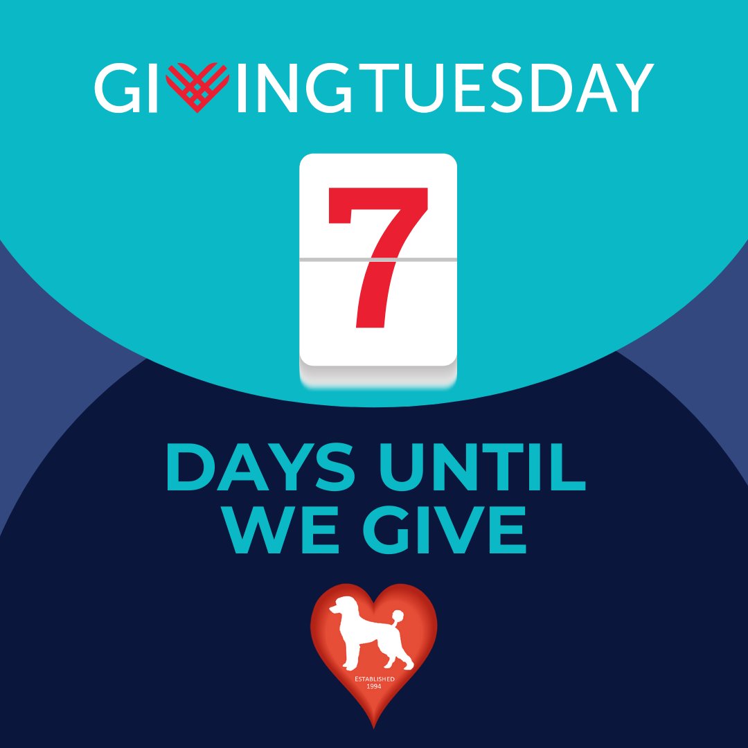 FLPoodleRescue's tweet photo. ❤️🐩Your Donations are Being Matched up to $15,000 this Year!!! This is a great way to double the contribution your gift makes to our rescue Poodles!
#dogsofinstagram #thenewbarker #givingtuesday2021 #dogsoftwitter #theNewBarker https://t.co/UU7TpiW7Vy