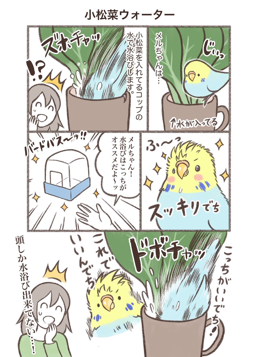 マンガ「小松菜ウォーター🥬」

#セキセイインコ #漫画が読めるハッシュタグ 