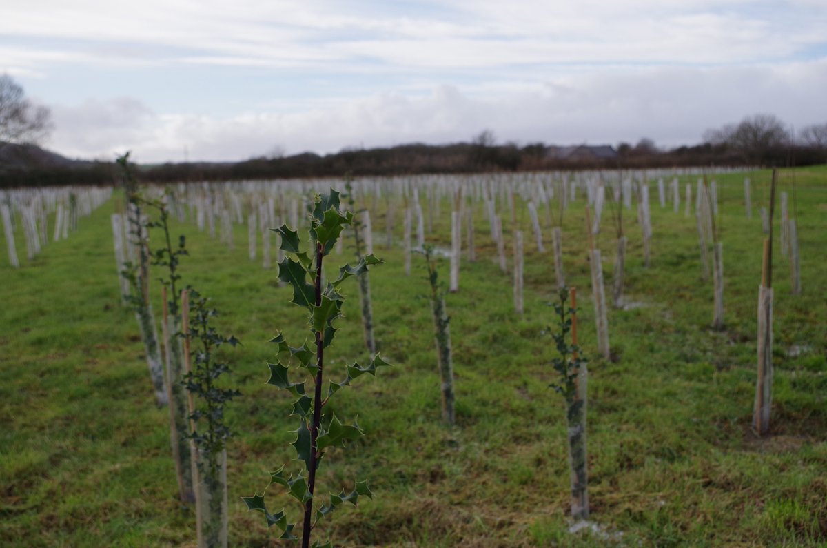Mini forest set to grow larger in Somerset stablesbusinesspark.com/blog/stables-b… <a href="/insiderswest/">Insider</a> <a href="/businesslive/">BusinessLive</a> <a href="/WSMChamber/">WSMChamber</a> <a href="/burnham_on_sea/">Burnham-On-Sea.com</a> <a href="/BurnhamChamber/">Burnham-on-Sea Chamber Of Trade</a> <a href="/SomersetCouncil/">Somerset Council</a> <a href="/sedgemoorbiz/">SedgemoorBiz</a> <a href="/SedgemoorDC/">SedgemoorDC</a> @Sedgemoorfm <a href="/AxbridgeChamber/">Axbridge Chamber</a> @lovesmallwoods <a href="/ForestryEngland/">Forestry England</a>