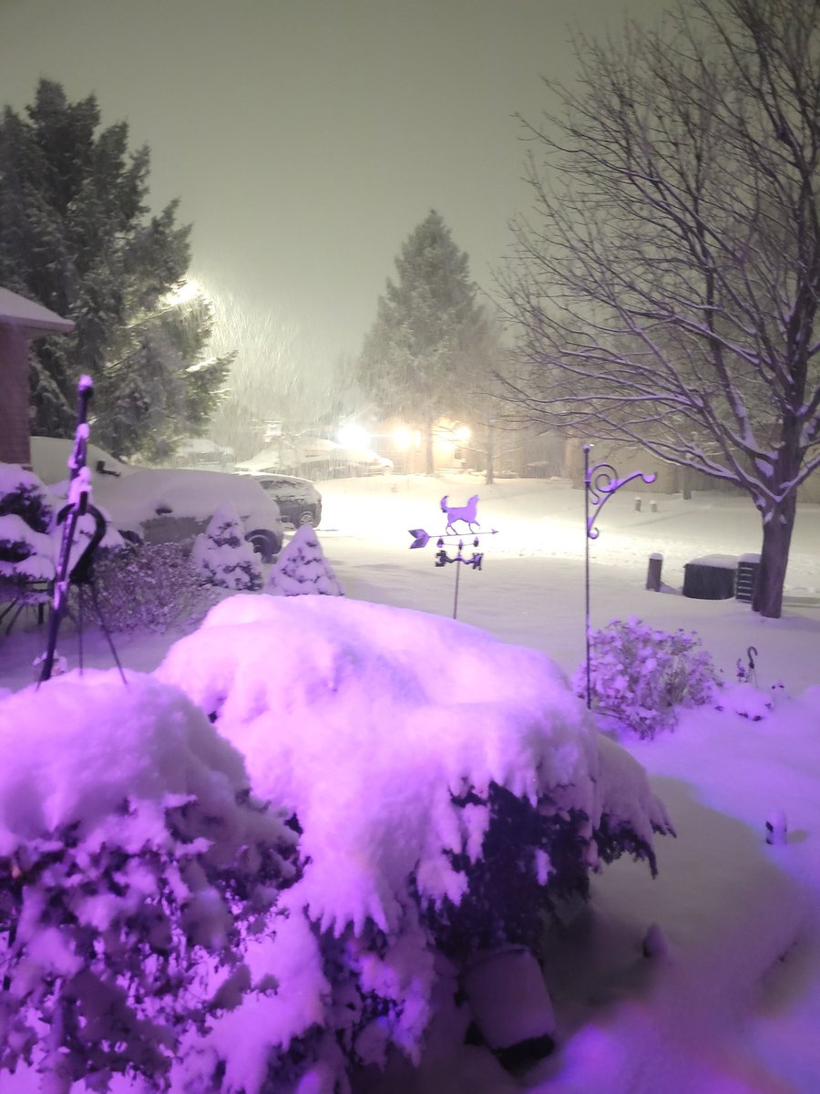 redd1333's tweet image. Good morning from Wasaga Beach