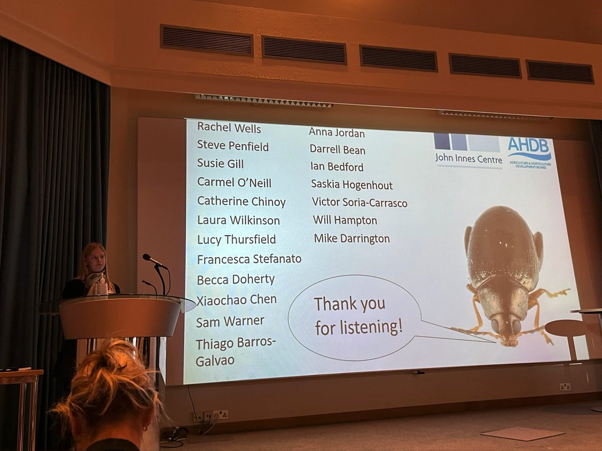 Jessica Hughes from John Innes Centre sharing the update on the four years of feeding cabbage stem flea beetle: from controlled screens to candidate genes. These little picky eaters have their own standards for highly palatable and non palatable lines!