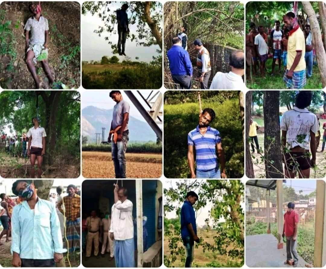 chandandnath's tweet image. কিলো দরে গণতন্ত্র বিক্রি হয় মমতা ব্যানার্জীর রাজ্য পশ্চিমবঙ্গে। বিজেপি কার্য কর্তাদের হত্যা করে যেভাবে ঝুলিয়ে রাখা হয়েছিলো
#TMCTerror
#WestBengalViolence