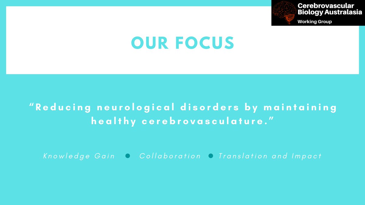 CVBAus's tweet image. Our focus is to reduce neurological disorders by maintaining healthy cerebrovasculature. Click the link below to find out more: cvbaus.mailchimpsites.com
#committee #bloodbrainbarrier #cerebrovascular #biology #neuroscience #CVBAus