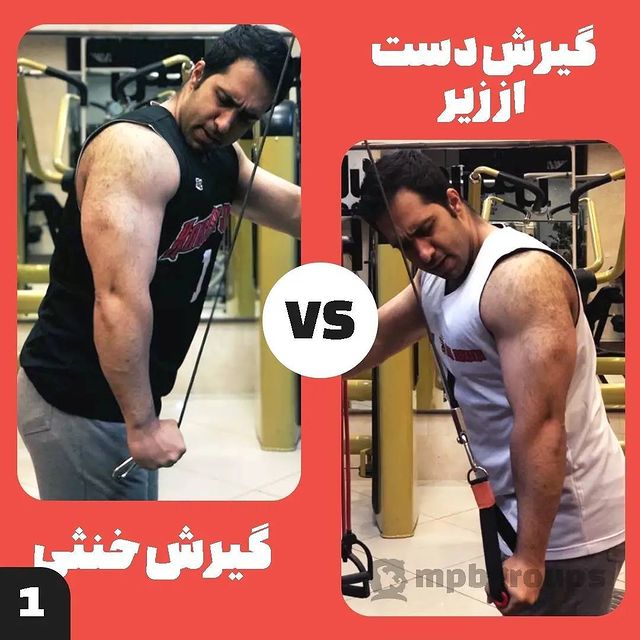 mpbgroups's tweet photo. 💥در حرکات اکستنشن پشت بازو کدوم گیرش بهتره؟

💥بعضی از افراد بهتون ممکنه بگن گیرش دست از زیر روی سر بلند پشت بازو بیشتر اثر میذاره و دست از رو روی سر جانبی! بعضی ها هم میگن تنوع خیلی مهمه...

💥همه ی این حرفها بی اساسه😂

خب یکم آناتومی مرور کنیم و با اساس صحبت کنیم...
1/4 https://t.co/gGJ6NzpFtJ