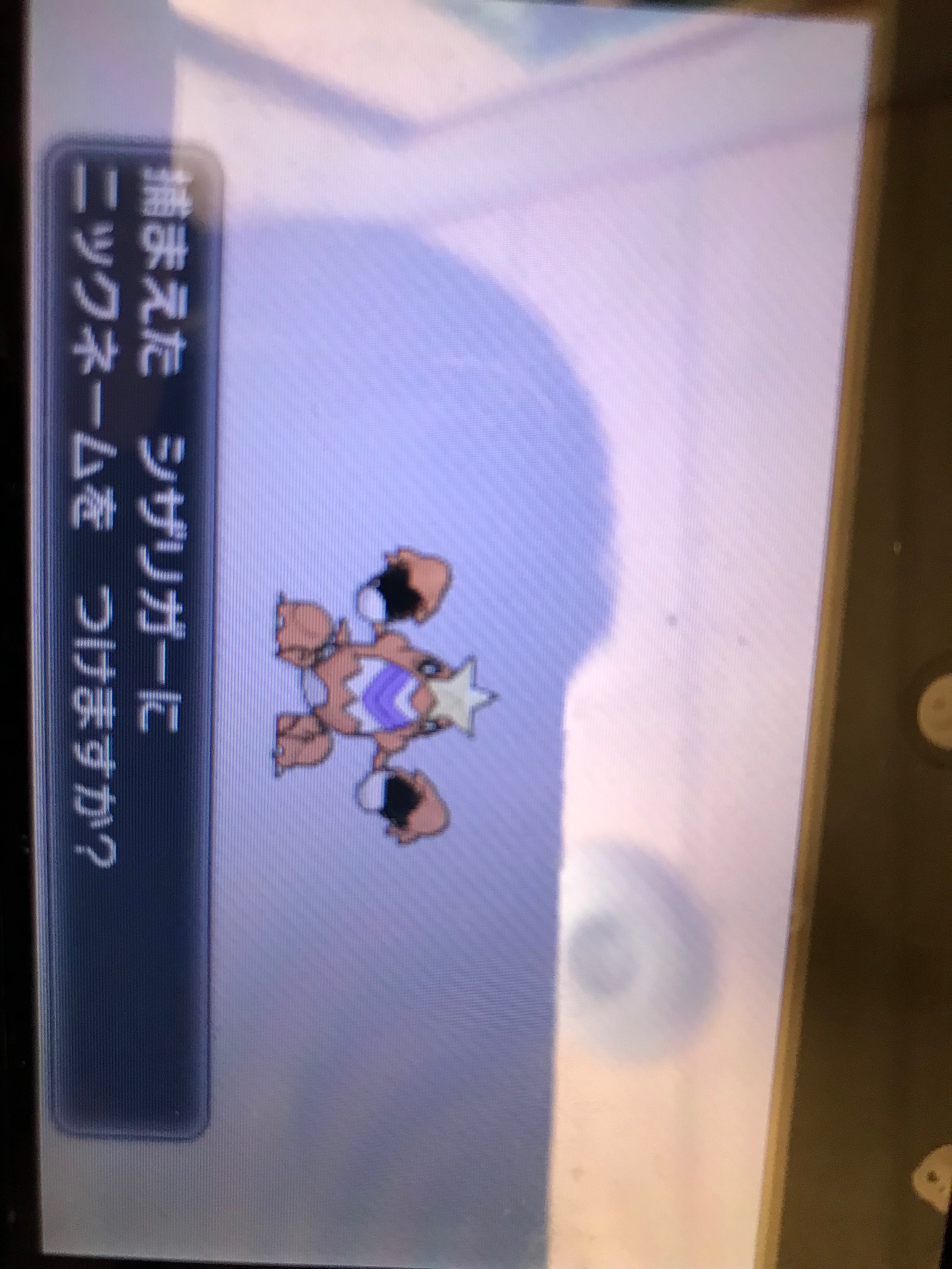 ポケモンxｙ Twitter Search Twitter