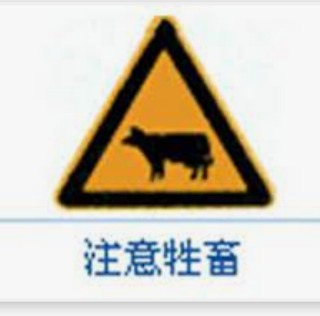 YangjieY tweet media