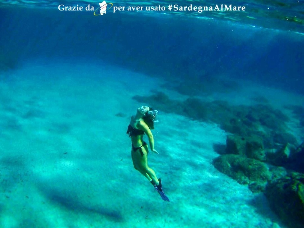 SardegnaAlMare's tweet photo. From https://t.co/EqygCc0KOy
Immersione da Cala Cipolla, zona Domus de Maria 🚀 🏊 🏖 # SardegnaAlMare #spiaggia #sardegna #sardinia #ichnusa #calacipolla #spiaggiadicalacipolla #capospartivento #chia #chialaguna #spiaggiadichia #torrechia #spiaggiatorrechia #torrechiabeach #D… https://t.co/lgVqgrtUqm
