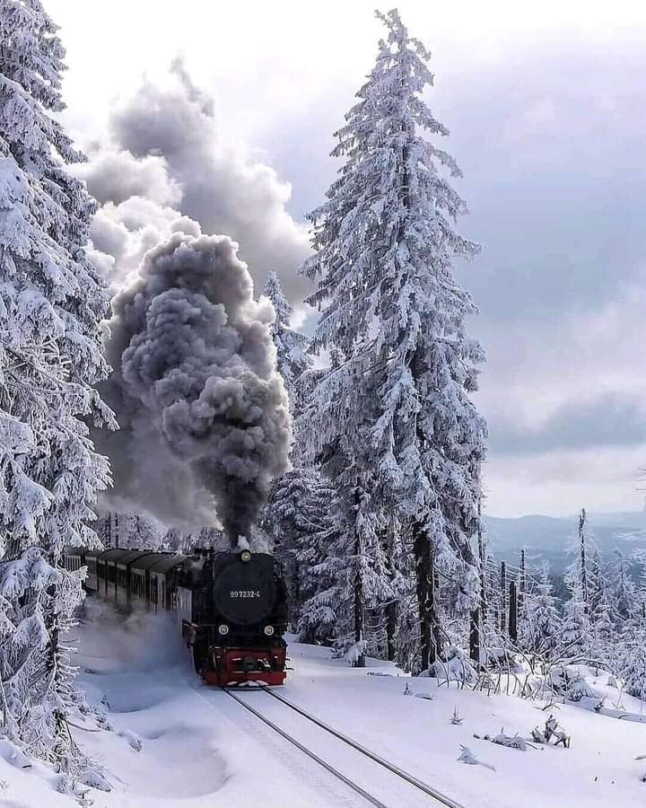 Good afternoon my folks...
#NatureBeauty #NaturePhotography