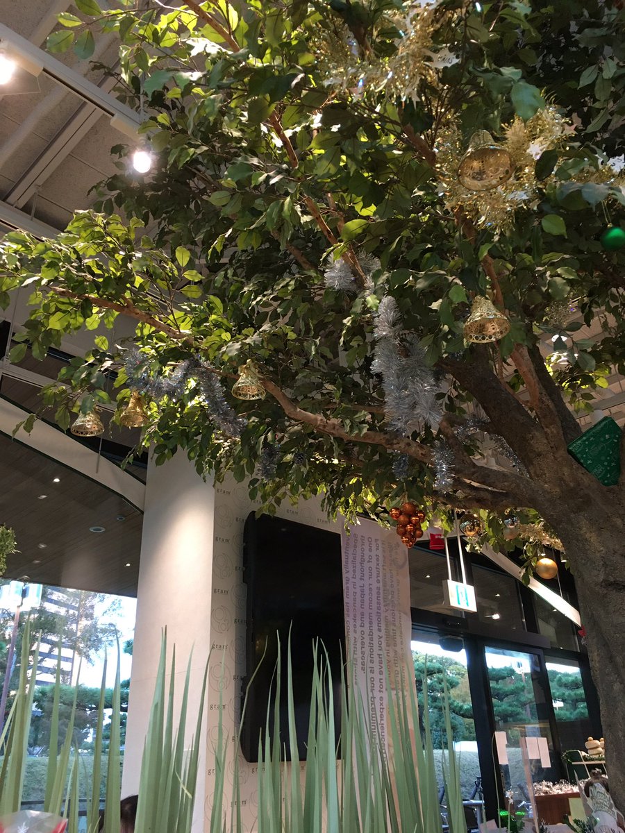 hamirutonian's tweet photo. さー2日目！昨日との違いが楽しみ！入場前の秦基博聴きながらのカフェでのひと時が最高なんだが✨
＃秦基博 https://t.co/tLUlUndvHZ