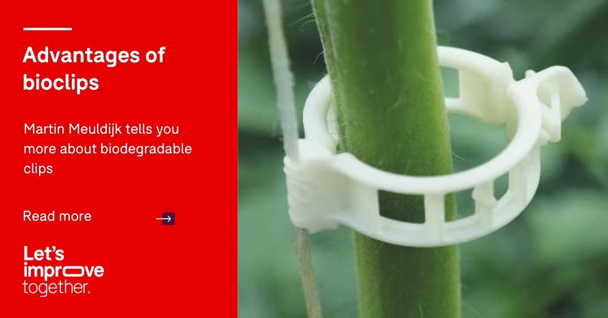 BrinkmanInt's tweet photo. TIP | Bioclips are biodegradable clips. This makes it easy to clip the stem of a #tomato plant to the rope🍅Biodegradable clips have a number of advantages. Martin tells you more: "
✅They are #biodegradable;
✅They do not hinder the growth."
Read more: https://t.co/79Hp4B8Qcn https://t.co/OfaKyzKFuB