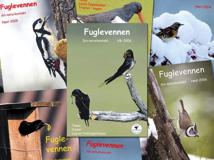 Fuglevern's tweet photo. 💥 For alle naturinteresserte: 
Tidsskriftet Fuglevennen!
Du kan få Fuglevennen ved å melde deg inn i BirdLife Norge og bli en støttespiller for å verne om fuglene.
Eldre utgaver: https://t.co/LmLPbtSxV3
Bli medlem (ut 2022) - fuglene trenger deg 🙏 https://t.co/YM40MI4jBH https://t.co/1HoGnOjJwf