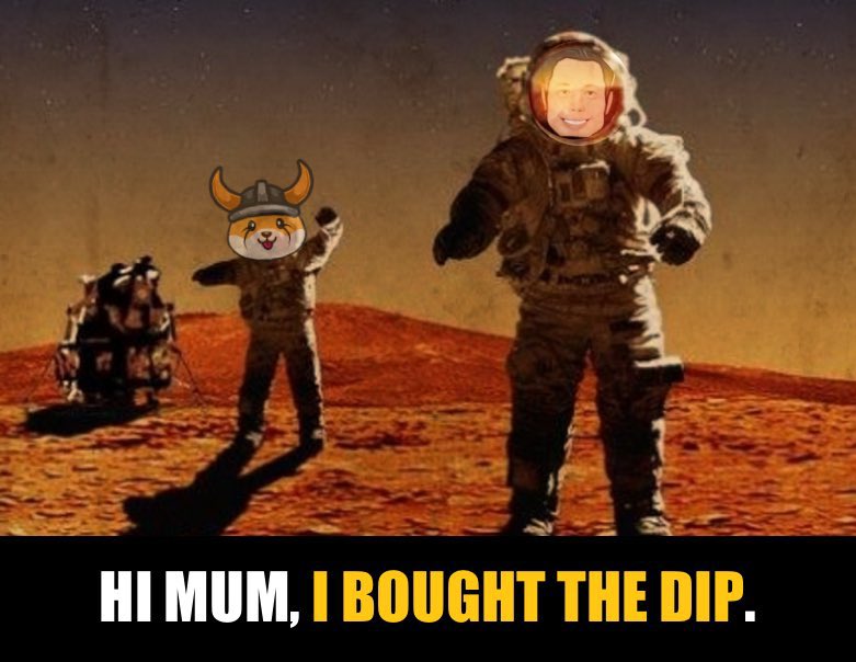 WezleySnipe's tweet photo. @WatcherGuru #FLOKI $FLOKI #Crypto https://t.co/yjHIZrqb5X