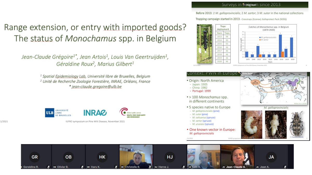 Plants_EFSA's tweet photo. International Symposium #IUFRO on #PineWiltDisease continues with #Vector session #Monochamus ->very interesting presentation by Jean Claude Gregoire https://t.co/aDRRRAZ9g2 https://t.co/YxkIzpnKGc