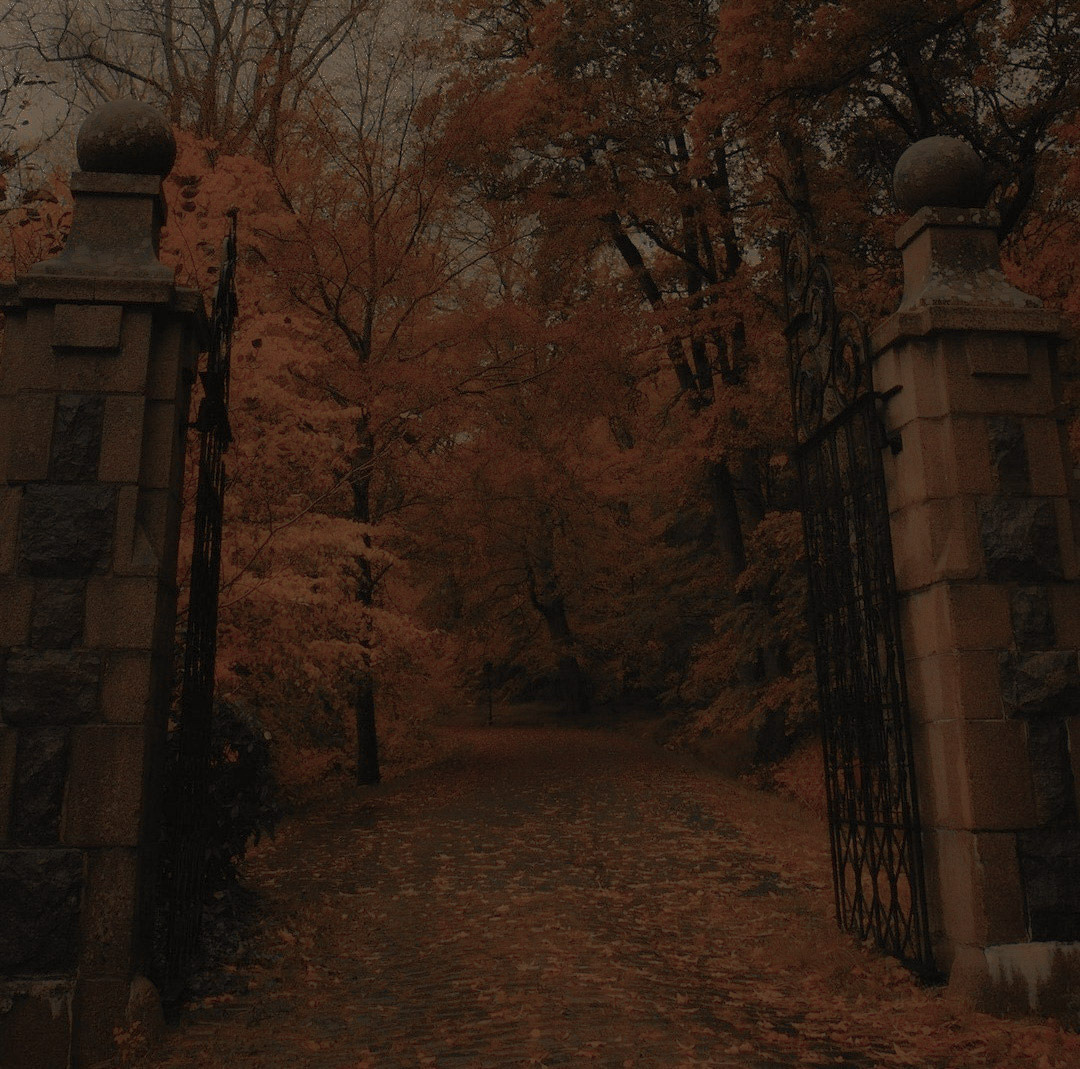 ㅤ
ㅤ ㅤㅤㅤ  𓂅 𝐂𝐎𝐕𝐄𝐍૰ 
ㅤㅤㅤㅤㅤ
ㅤㅤㅤㅤ𓄼⨟ rol cerrado ᣞ
ㅤㅤㅤㅤㅤ𓄼⨟ ambient. Londres ᣞ
ㅤㅤㅤㅤㅤㅤ𓄼⨟ aquelarres vs cazadores ᣞ
ㅤㅤㅤㅤ┈────────────────┈
ㅤㅤㅤㅤㅤㅤㅤ⦃ #covenrp
ㅤㅤㅤㅤㅤㅤㅤ