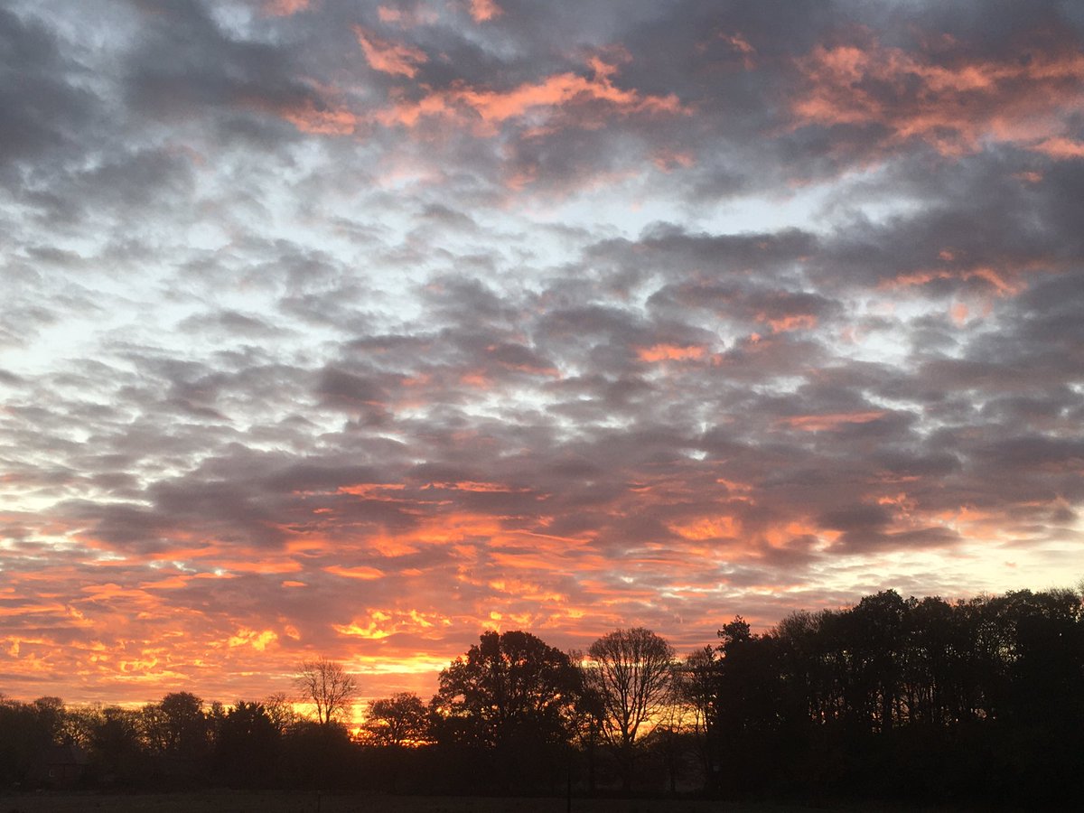 nicolawriting's tweet photo. Reigniting the embers from the night before. The first birds leaving the wood, the ground, the eaves, the ivy; gulls crossing back from the distant lakes to the ploughed fields, in arrow shapes, the lead bird coulter to the others’ mouldboard, turning furrows across the sky. https://t.co/mA6sZZziNL