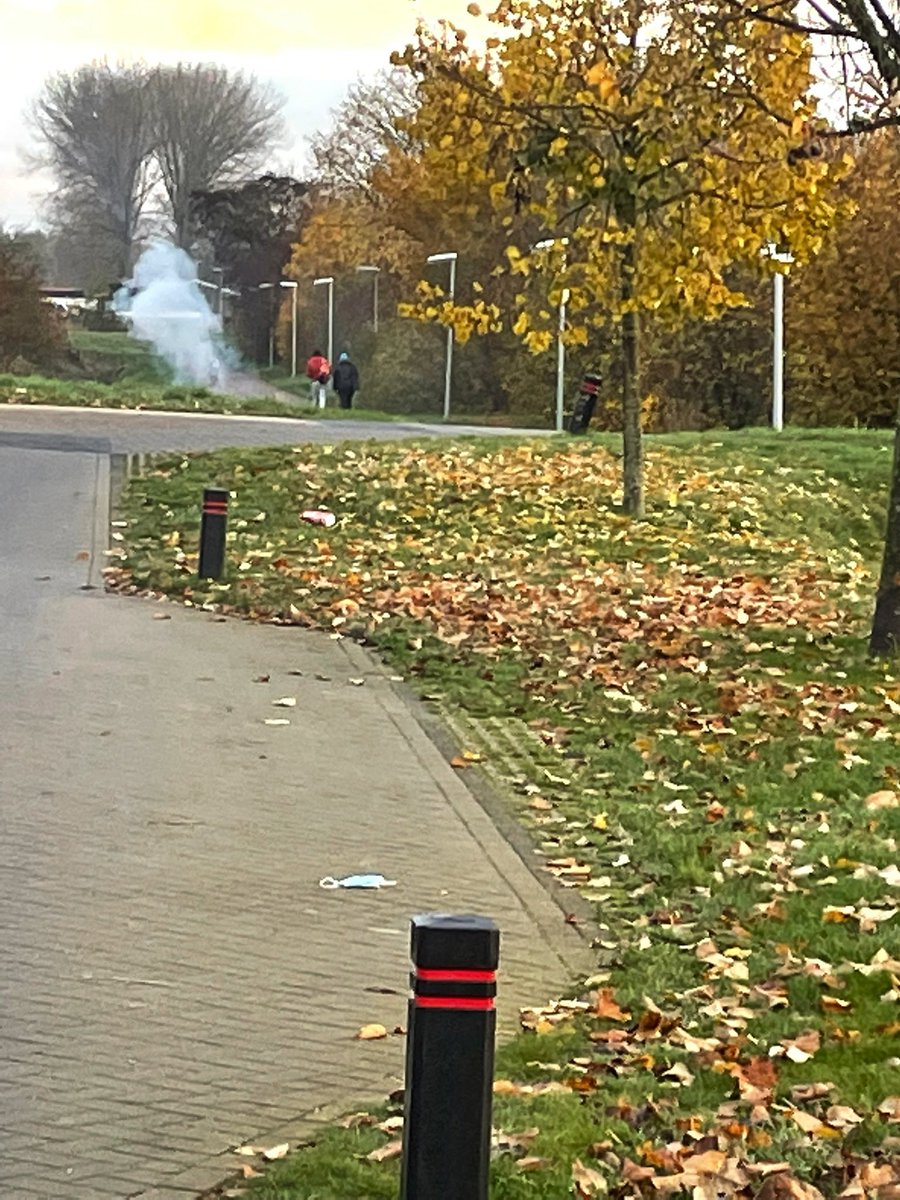De jeugd is al vroeg actief met vuurwerk in passewaaij, geen enkele angst aanwezig bij hen maar mijn hond is weer overstuur. Pakkans vrijwel nihil, boa’s zijn te weinig in de wijk