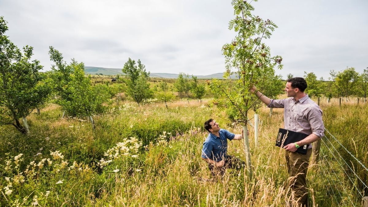 ForestryComm's tweet photo. Are you passionate about sustainable forest management and woodland creation?
We're looking for five Environmental Land Management Officers to join us in various locations across the UK.
Find out more and apply by 29 November, at 👉 https://t.co/pTq9wVybJA. #ForestrySector https://t.co/CVK68UgzTF