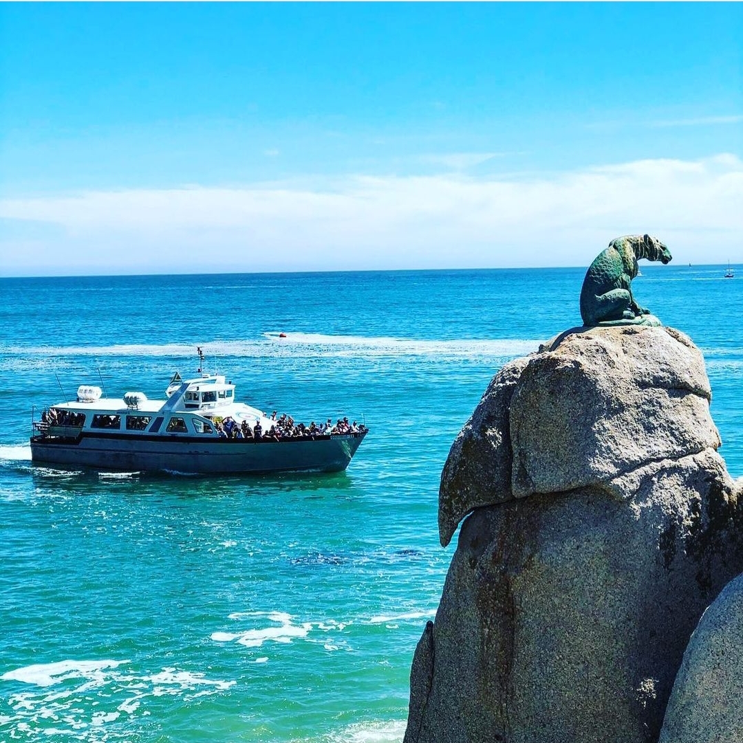 bayharbourmkt's tweet image. We are living for the holidays! It's the perfect season to enjoy the sun and fresh sea air, and explore Hout Bay from a different view... #Reshare from @drumbeat_charters make sure to book your experience with friends and family this festive season!😁🤩🙌✌😎