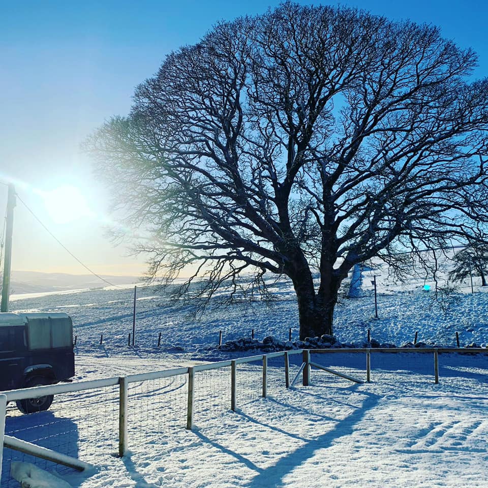 High Whitecleugh Cottage tweet media