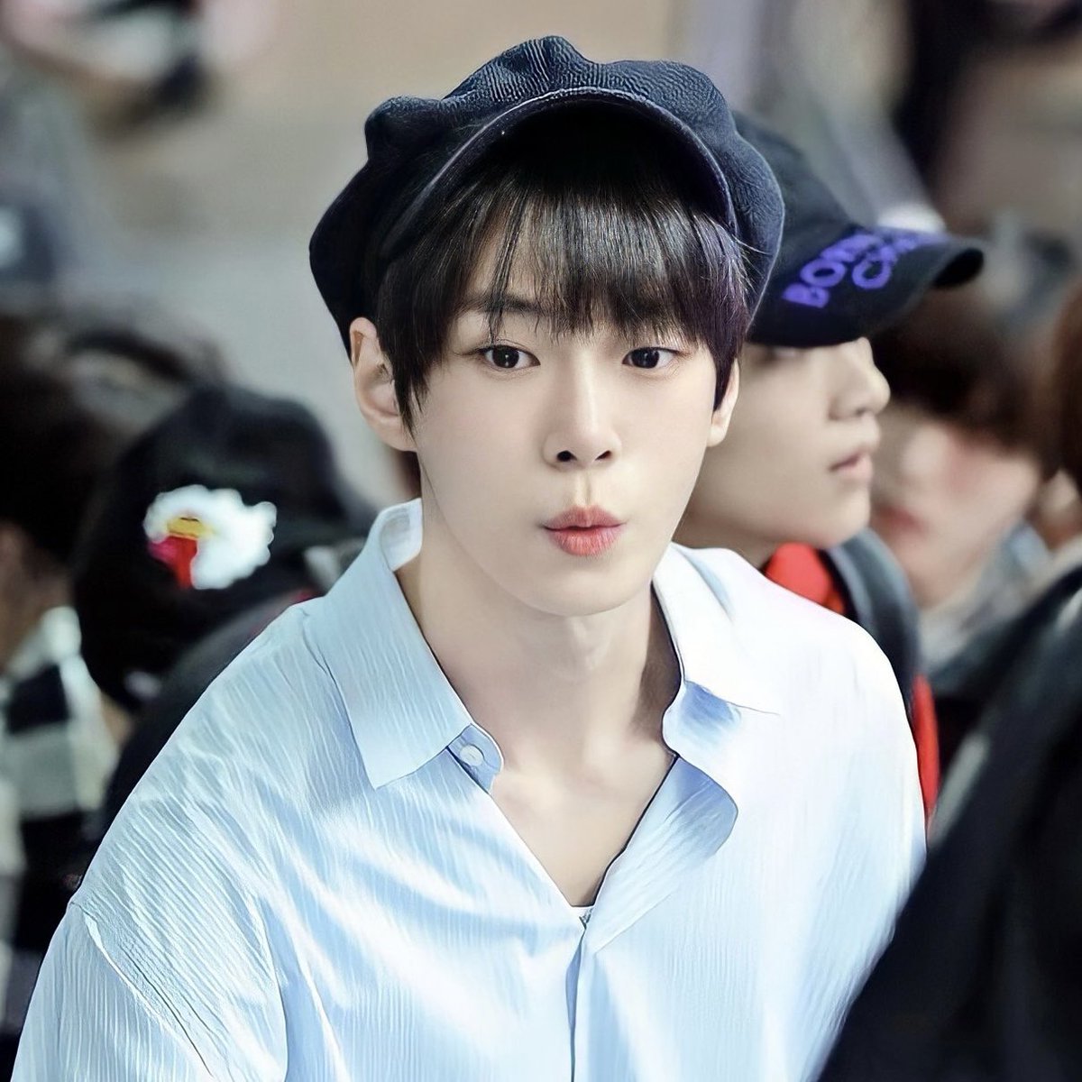 또잉 tweet media