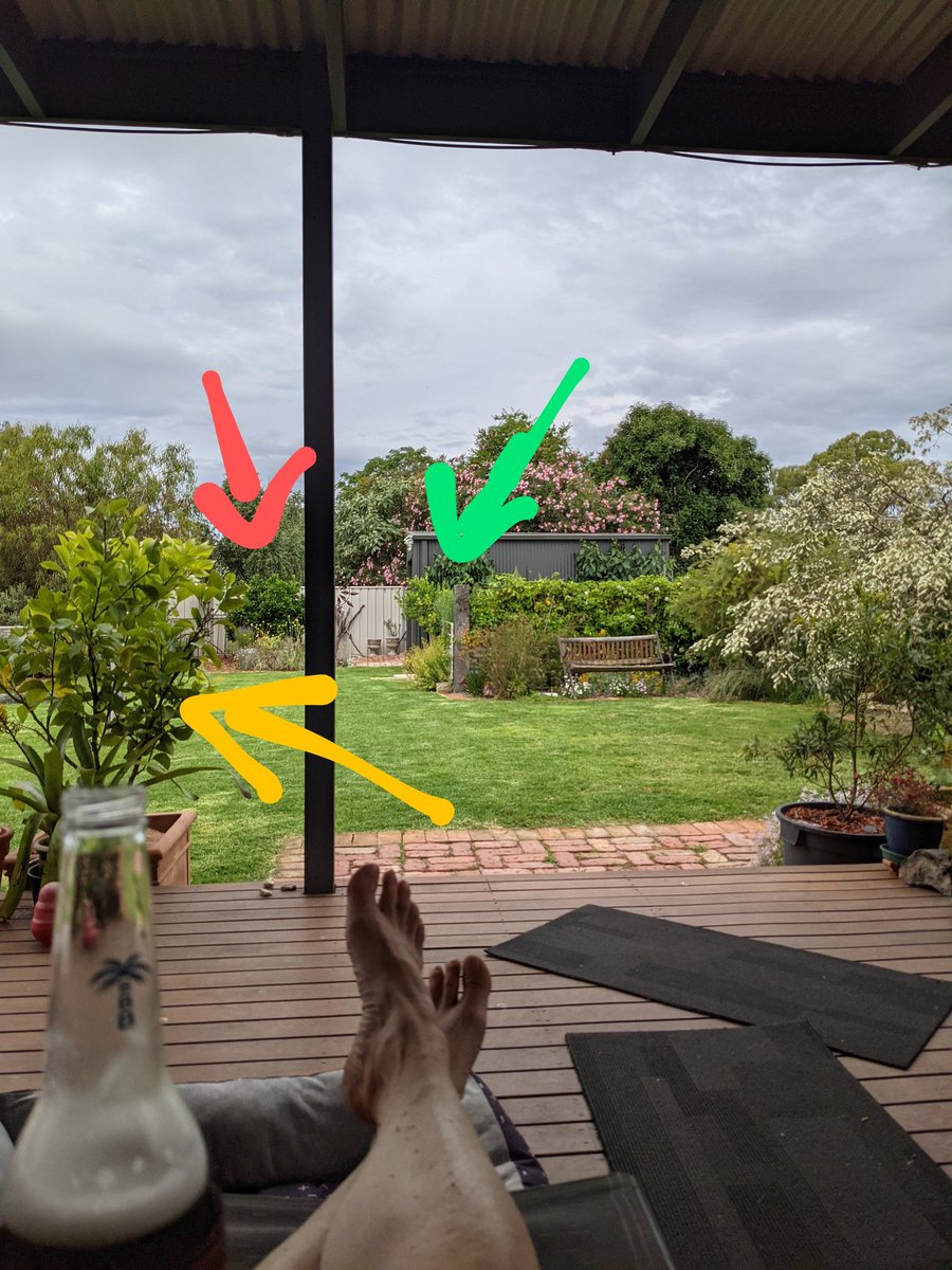 KiLeRaD's tweet photo. Also,
Green arrow- #LimeClub
Red arrow - #OrangeClub
Yellow arrow - #LemonClub https://t.co/iOnYPyPbNZ