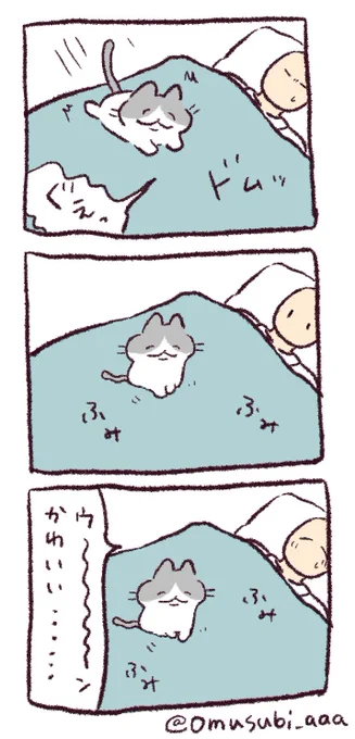 ふみふみ 