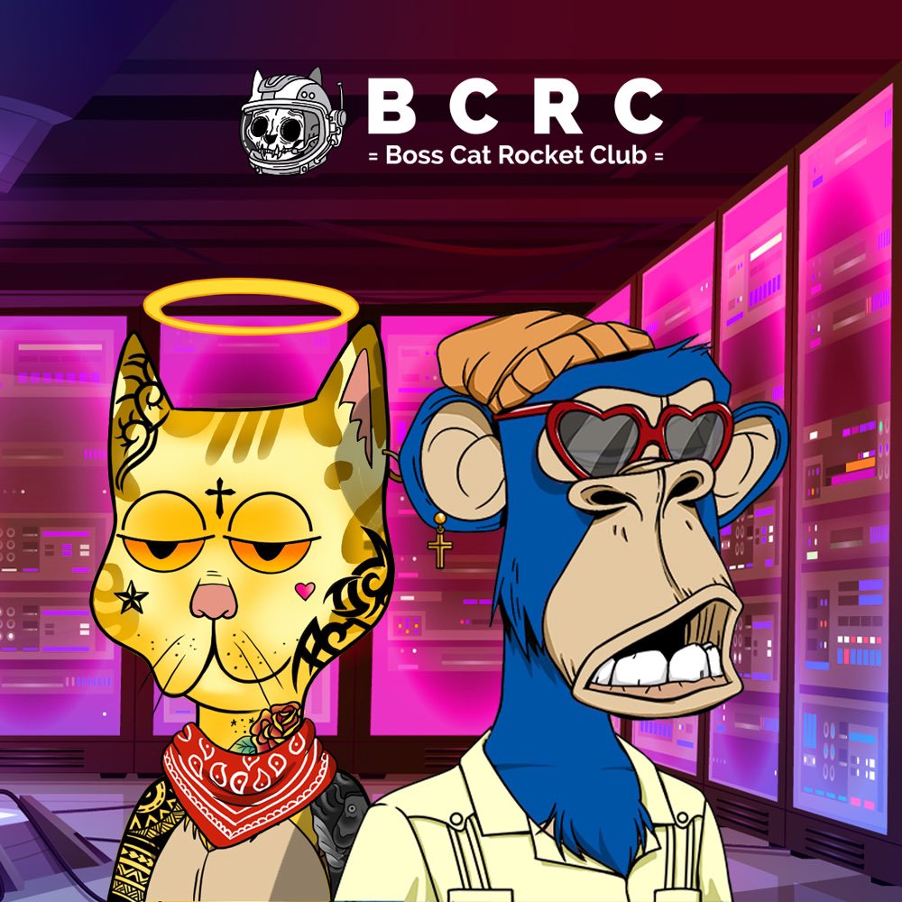 Boss Cat Rocket Club on Twitter: Boss Cat Rocket Club on Twitter: