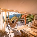 ツイートに含まれる画像