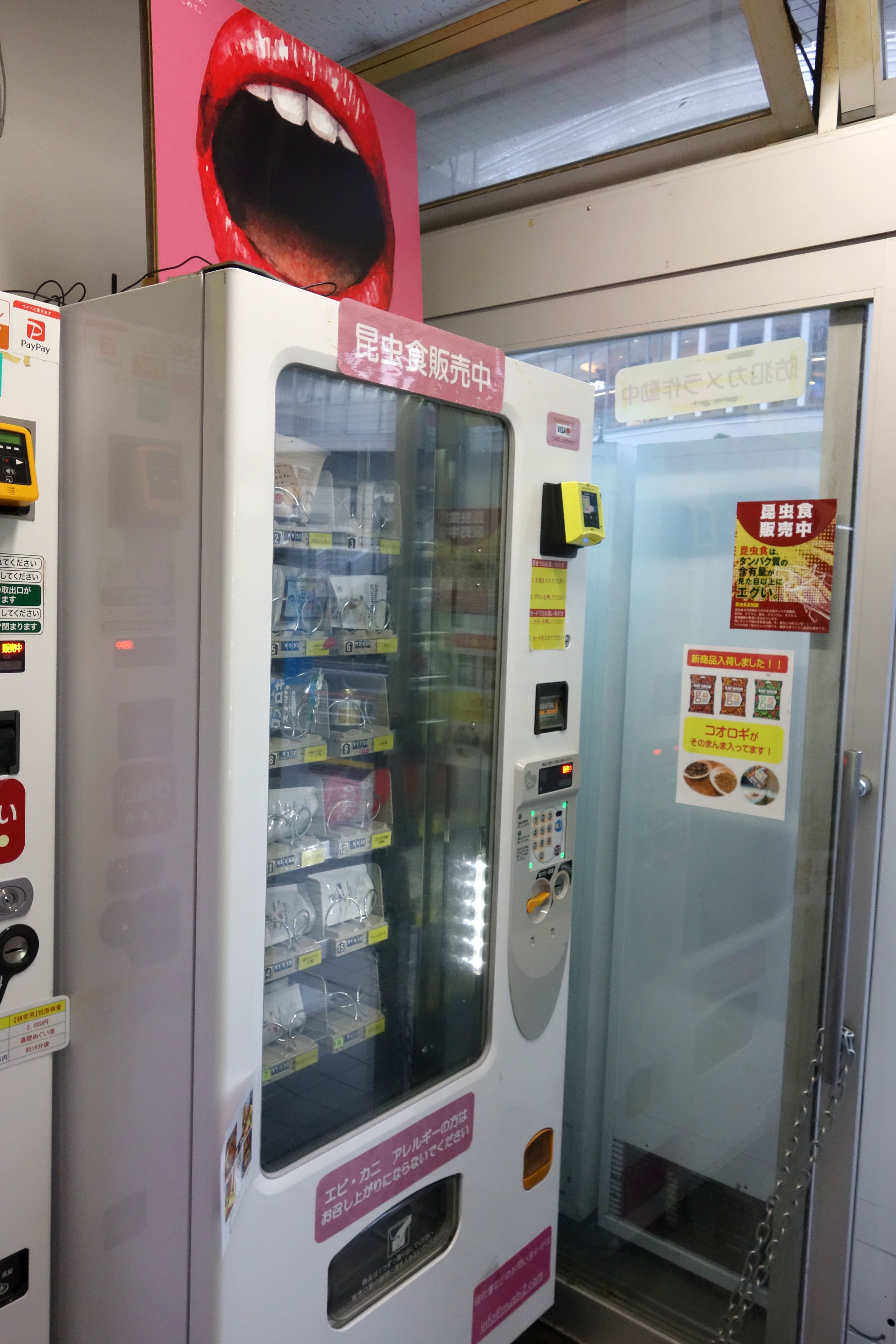 俺の冷蔵庫 アーモンドアイG1 7勝記念 自動販売機型冷蔵庫