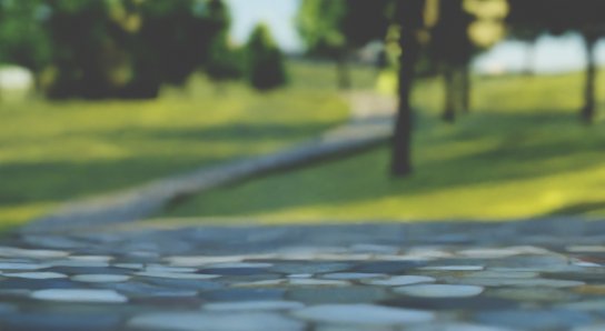 Depth of field is great effect to add realism...and style...#blender