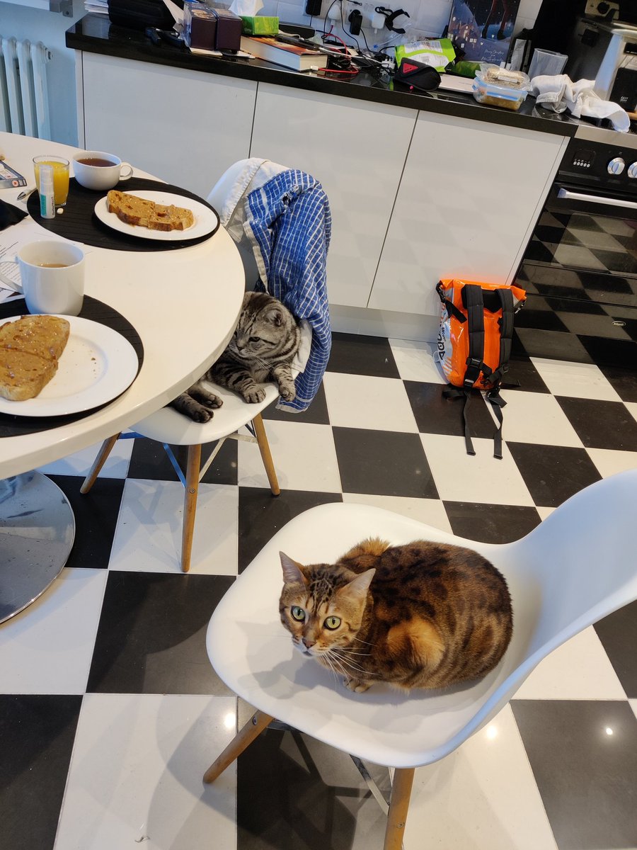 kfm1000's tweet photo. All the seats seem to be occupied for breakfast..not sure where we are supposed to sit https://t.co/Bx3WSWBErZ